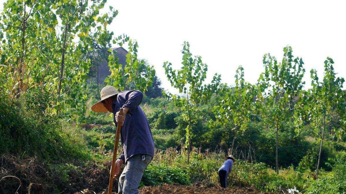 福州|土地确权颁证后，“未确权”没有证的土地咋办？要收回吗？