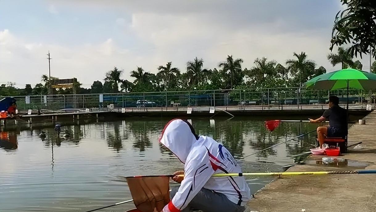 饵料|钓鱼窝里光冒泡不见口，多数不是饵料不对，关键在水底酱层