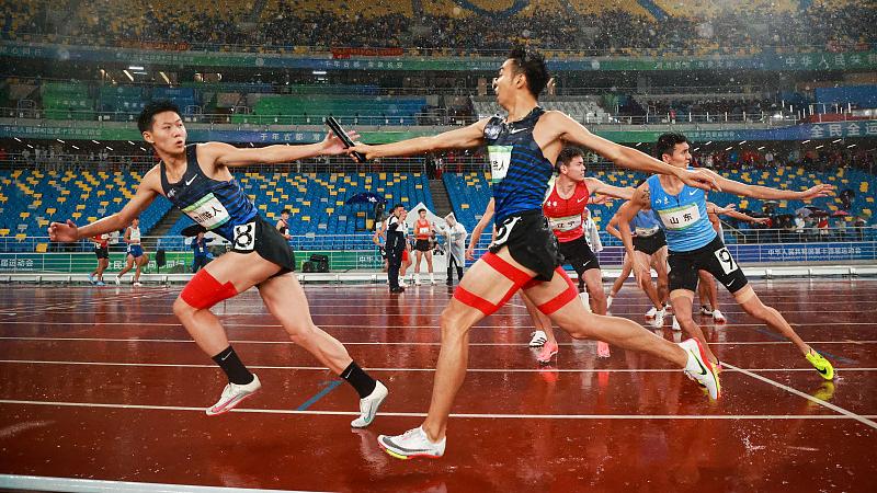 |将有三十年好运，亥猪一年红过一年