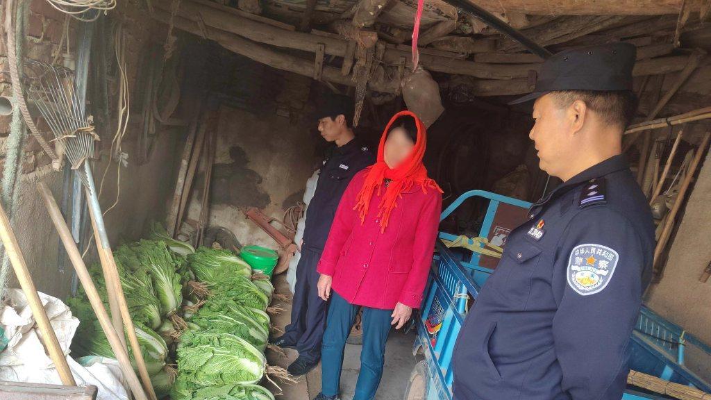 30余棵白菜被偷了！半夜菜地现贼影，胶州公安锁“真凶”