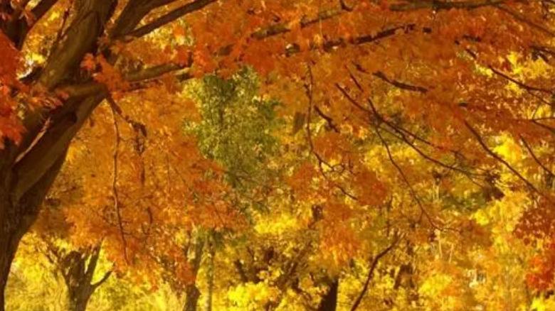 尽最大努力以证明我处于自己人生的现场