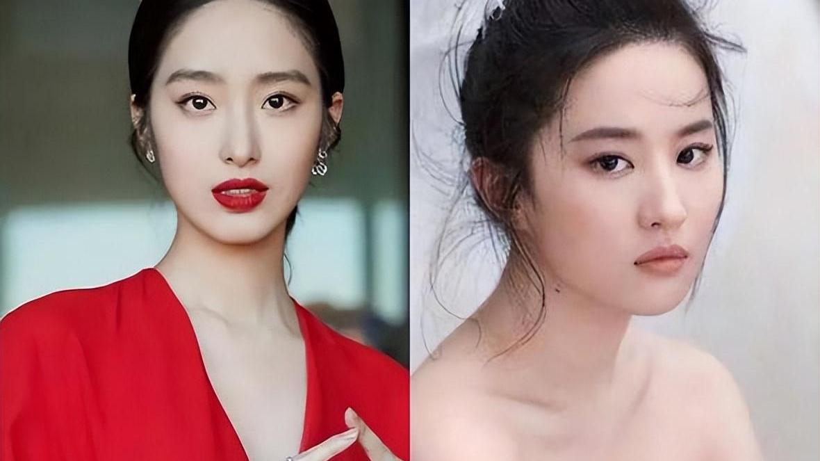 杨采钰|同样是陈金飞力捧的女星，为什么杨采钰不能像刘亦菲一样“红”？