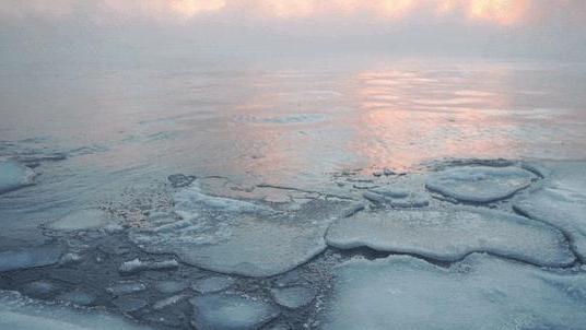 在北极漂泊389天后，数百科学家带回一个噩耗：北冰洋正在死去