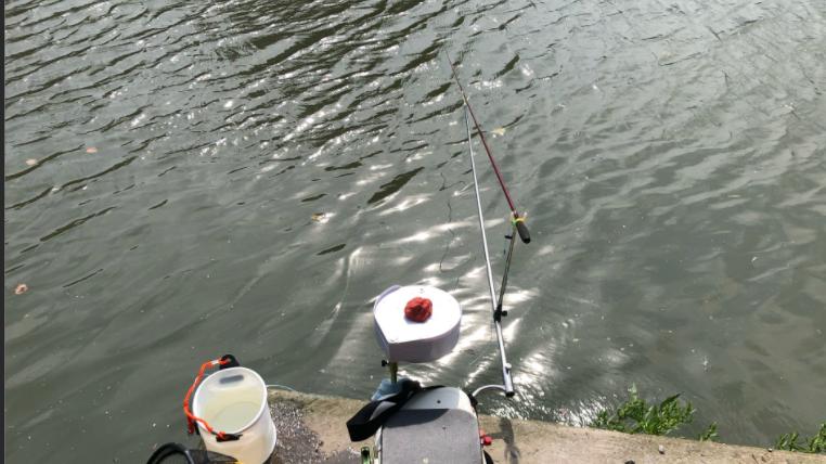 饵料|夏季野钓见不到大鱼，不妨试试钓白条，比钓大鱼还爽