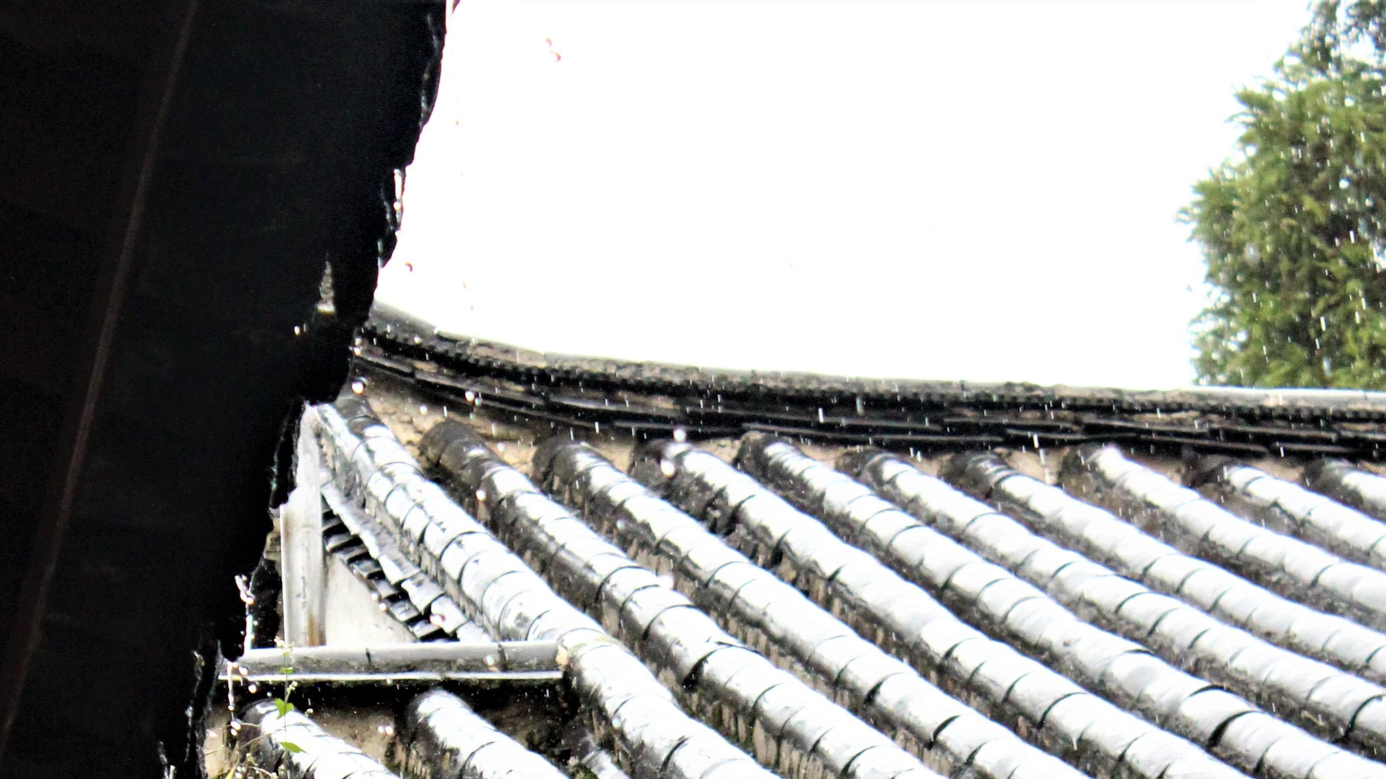 |职场遇到停滞，怎么办？