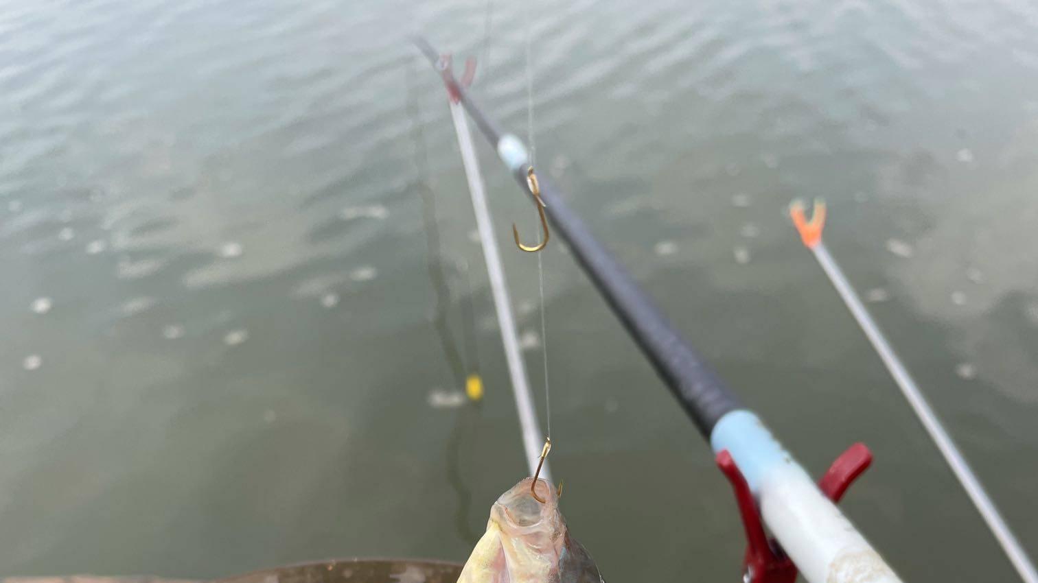 |心中有鱼，手中有竿，得一方碧水，享垂钓人生。