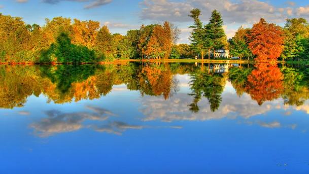 双鱼座|金牛，天秤，双鱼座在8月的感情是怎样的？