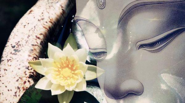 科学家惊人发现 宇宙就是我们的大脑 而古人早已言明