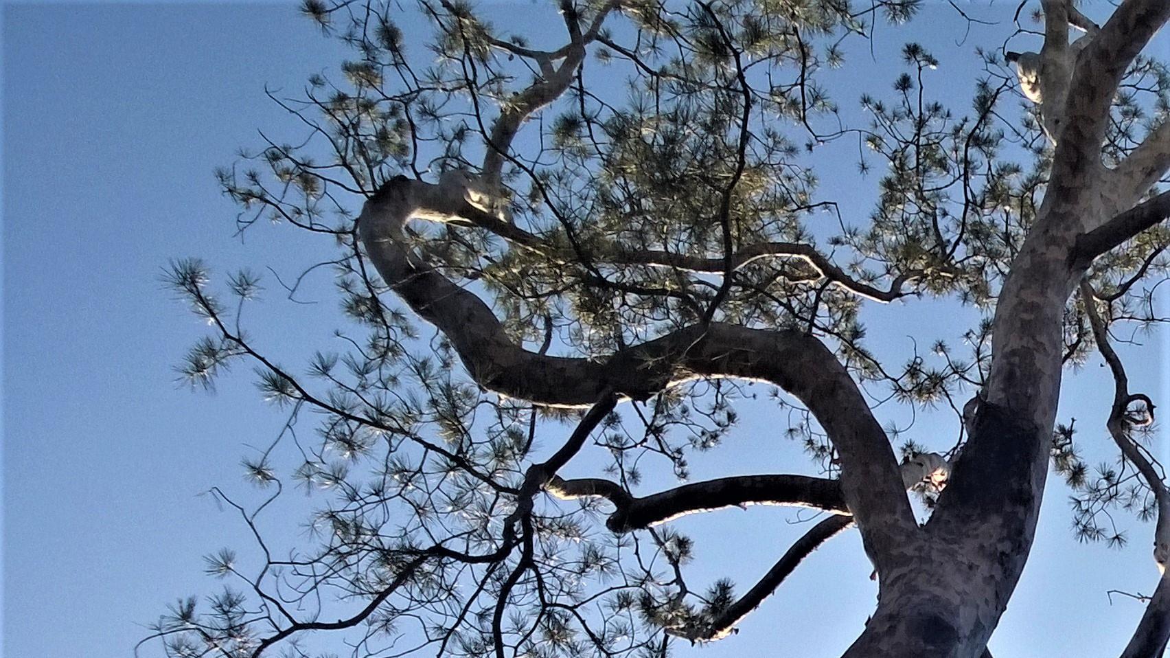 |关系原子化？别做职场独行侠