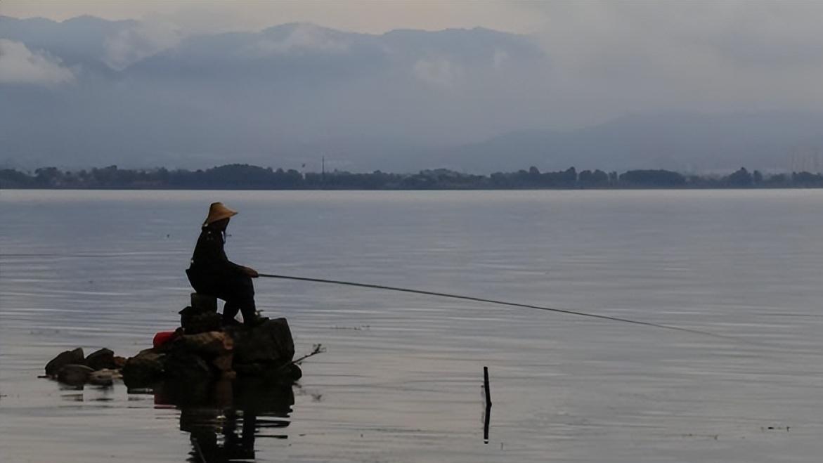 鲤鱼|什么鱼难吃，什么鱼好吃？钓鱼人不愿意吃的几种鱼
