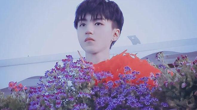 王俊凯|最美风景。王俊凯，花儿与少年