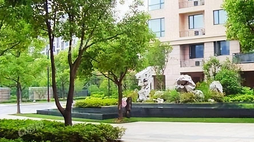 |住了三年多的电梯房，各有优点和不足