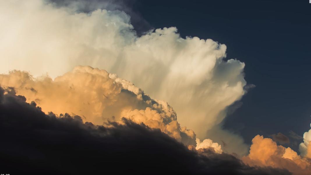 最聪明的机会主义者-----伤齿龙！