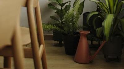 材质着色 沉稳又灵动