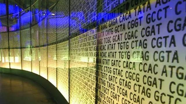 DNA：精妙的信息存储体