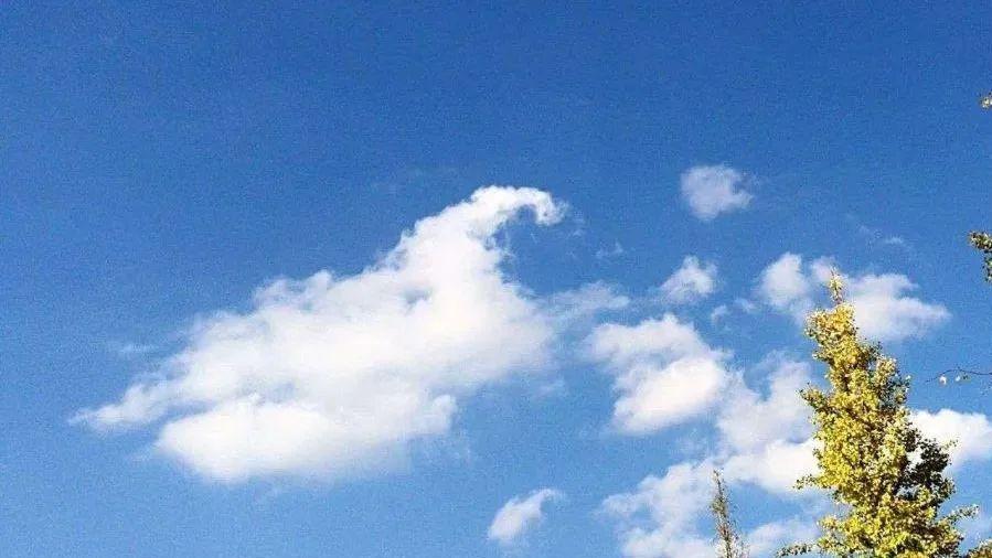 黄瓜|四季不同的美，我们放慢脚步用心感应，享受大自然赋予的一切美好