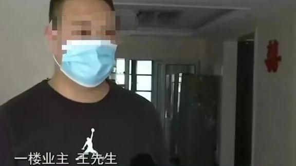 回顾：男子在自家院子种菜，准备可以吃的时候物业通知三天内铲掉