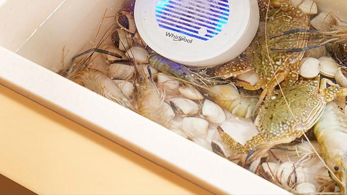 一见钟情的3个厨房小电器，买时“肉疼”，用起来真香！建议备齐