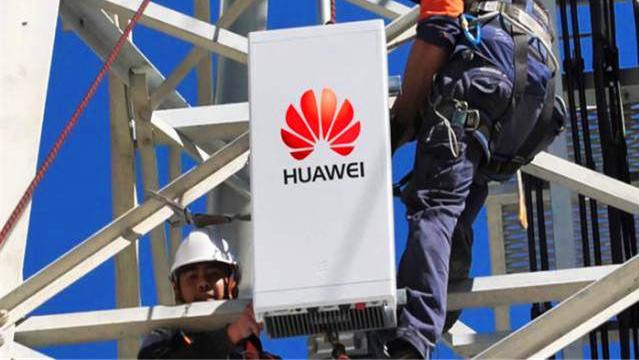 软件|打压华为出现反效果，美院士发声，该来的总会来