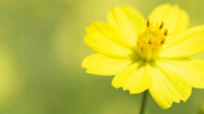 |白羊座本身就是一个神秘的星座