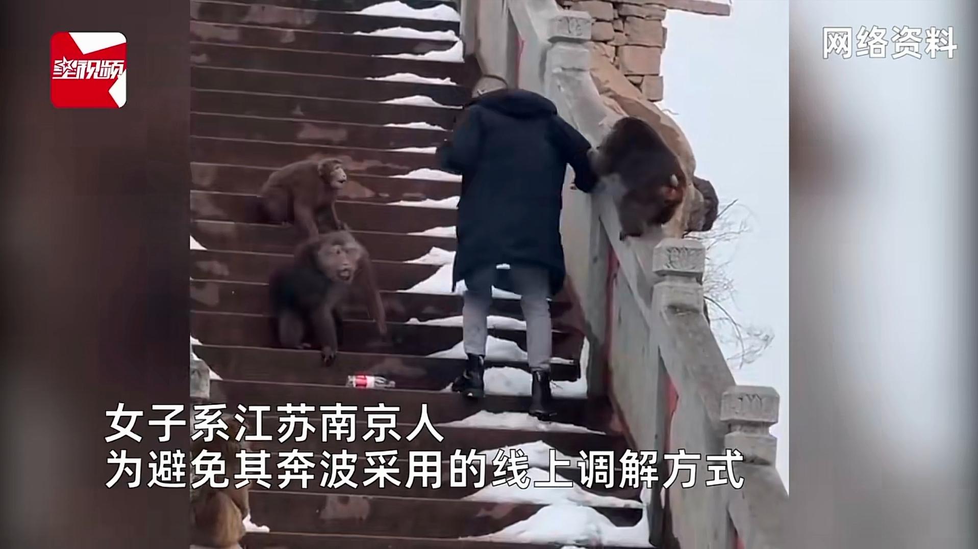 安徽九华山，一女子从南京去九华山旅游，在山上突然被野猴袭击，致使女子摔伤