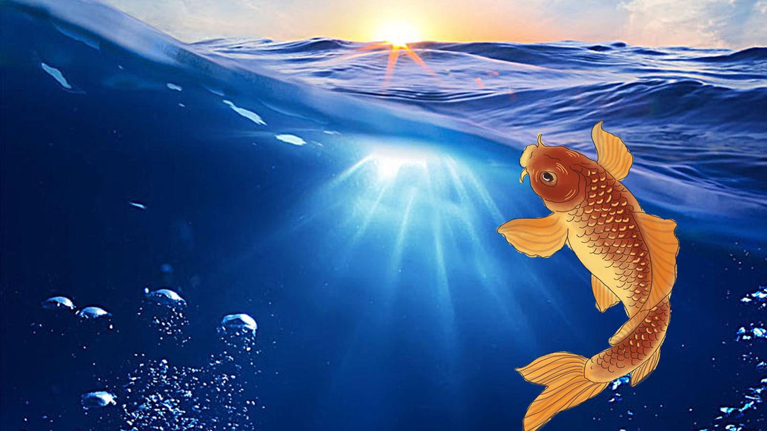 |如何让窝子里的鱼放松警惕？让窝子里的鱼放松警惕的4种方法