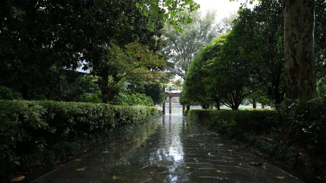八里河|醉在颍淮秋雨中
