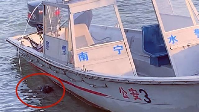 广西|广西男子钓鱼钓了一个人，报警后淡定垂钓，网友：钓鱼界最强男人