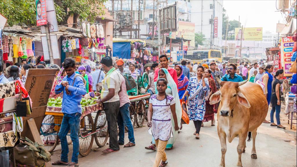 西藏|印度导游：即使再热，也不要吃当地雪糕