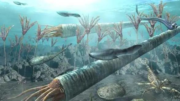 如果把所有陆地生物移居海底，人类会怎样？哪个物种能续写陆地神话？