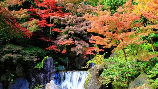温泉|日本关西地区，有哪些地方可以边赏枫叶，边泡温泉？