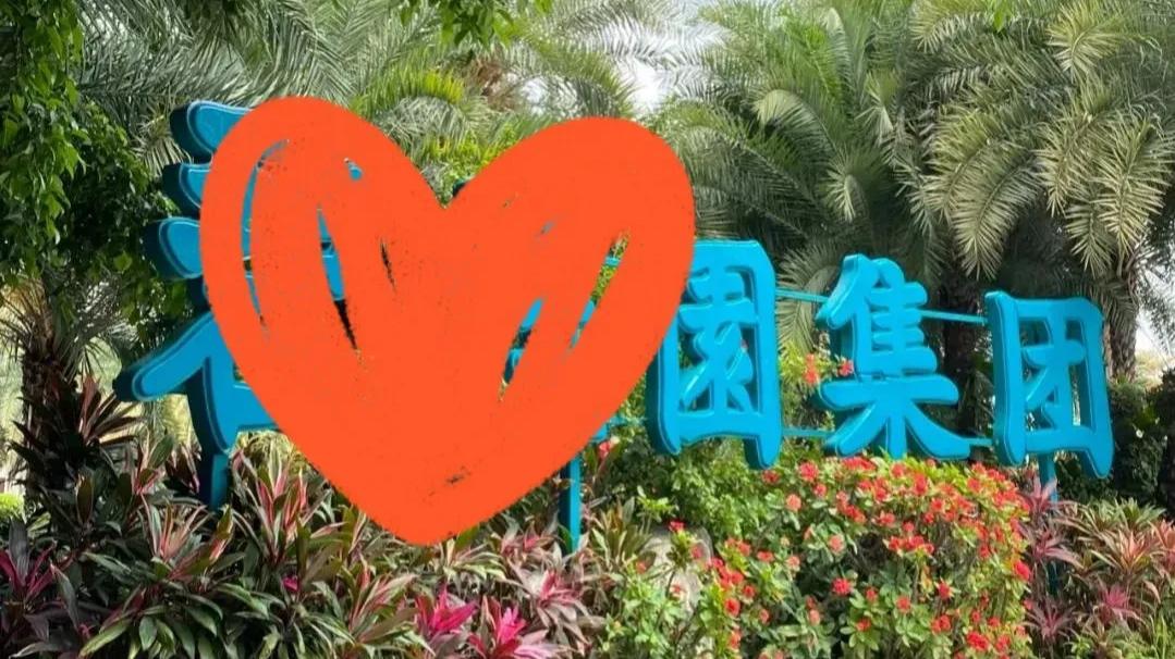 房价|上辈子拯救了银河系吗？怎么就让我连续踩到了恒大，碧桂园这两个“连环雷”的