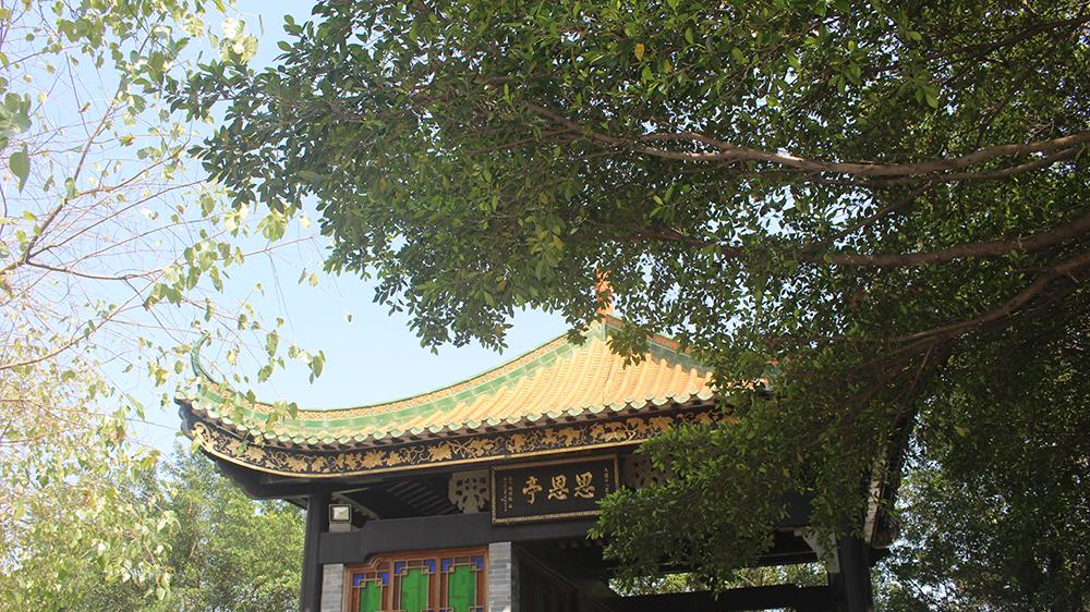 广州市|广州一个免费的公园，面积达5000亩，景色秀美，老人孩子也喜欢