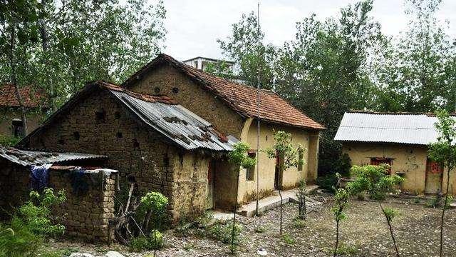 新房|“恭喜”农民朋友！农村将统一处理老房子，但这3种情况没有补偿