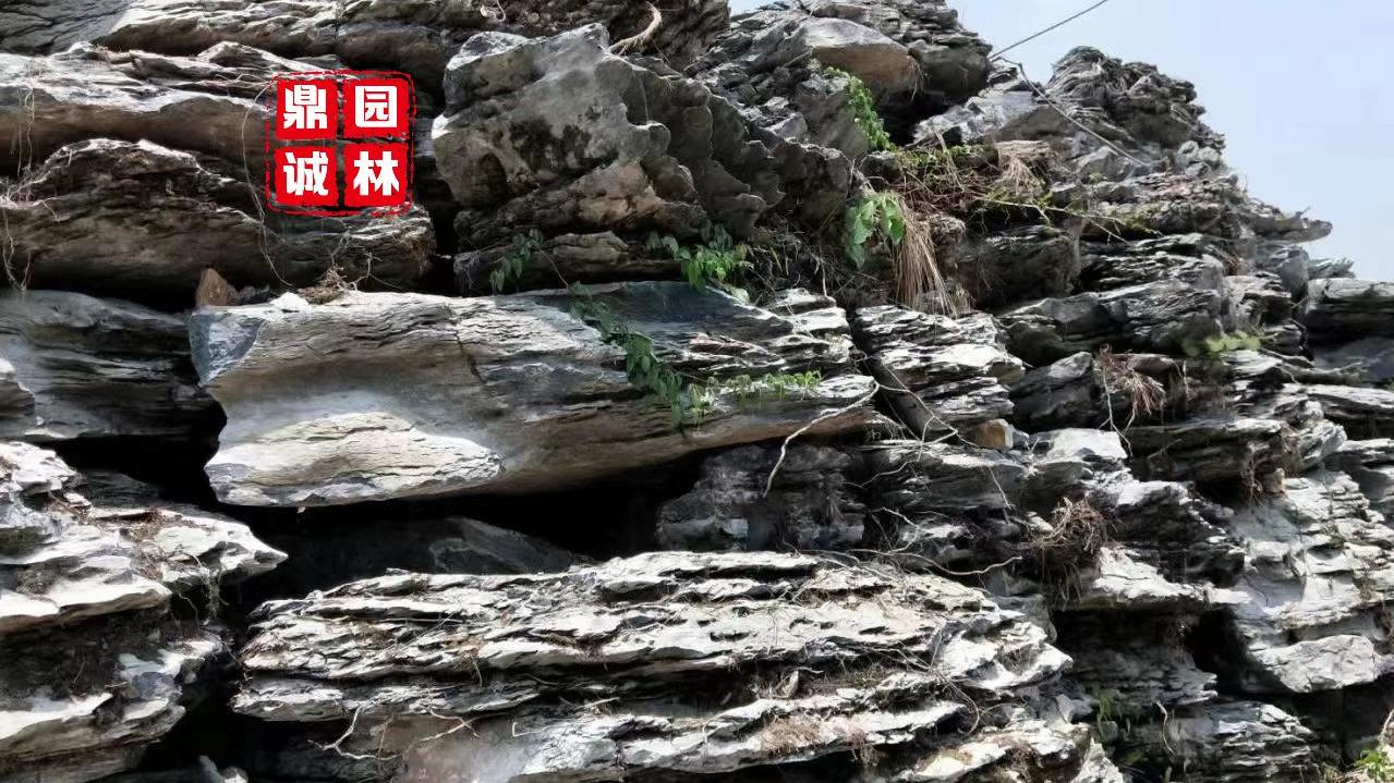 青岛市|大英石假山，形体漏透，造型雄奇，这样的景观石头
