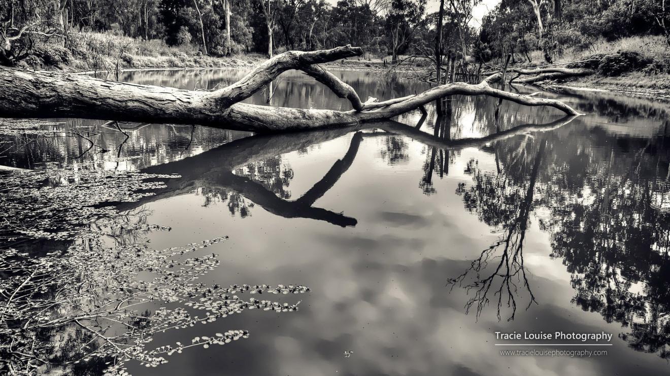 |成功的职场人必须具备的三个基本素质