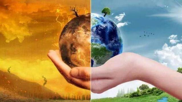 科学家提出大胆设想：巴西雨林砍伐猛增67%，高温根源已找到？