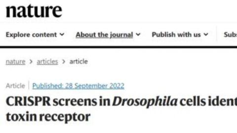 Nature：利用昆虫细胞全基因组CRISPR筛选，揭示杀虫毒素受体