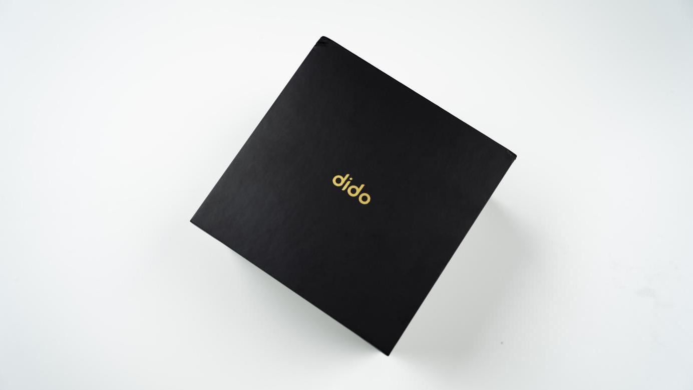 |准医疗级的专业测压，dido E40S 气泵式血压智能手表上手