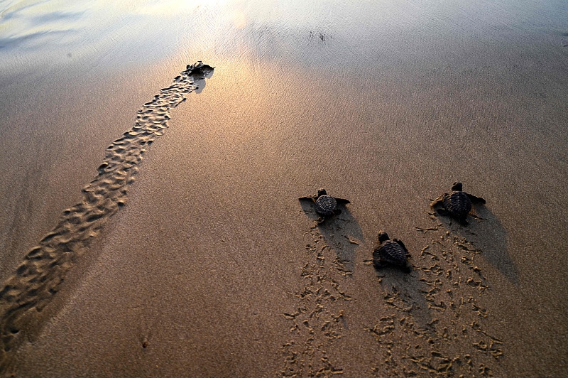 |领导对你有这3种态度,是想逼你主动辞职!