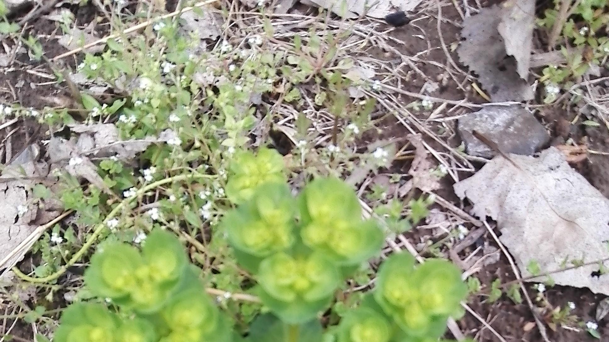 考试|我和我的同学