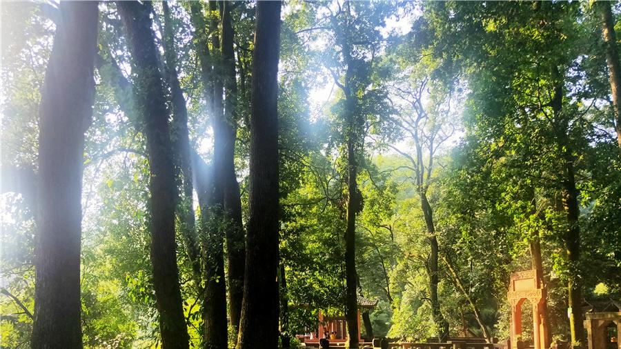 梯田|始建于唐兴于宋元，泸州这座千年古刹，“天下石工第一”名副其实