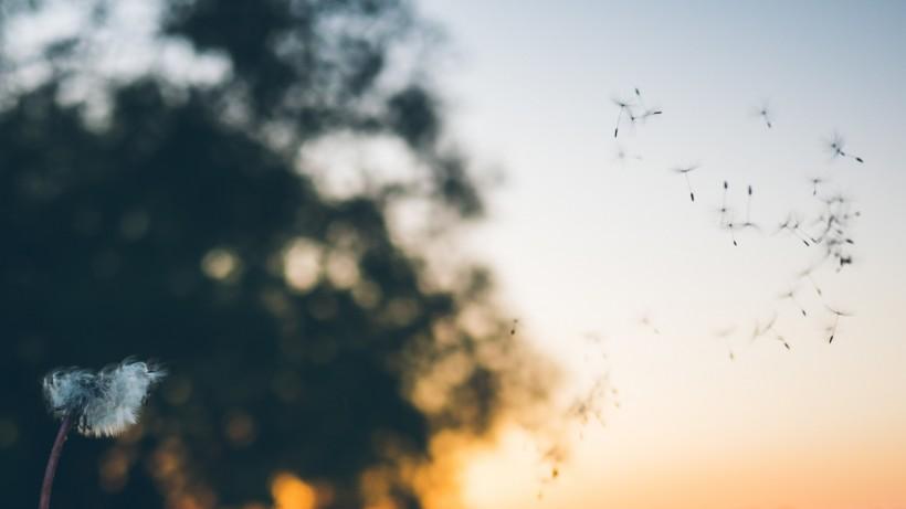 摩羯座|容易出真感情的几个星座，深情是一种习惯，不喜欢套路