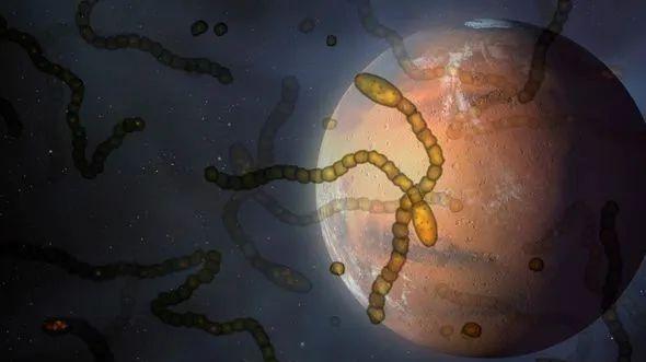 地球生命或起源于外太空