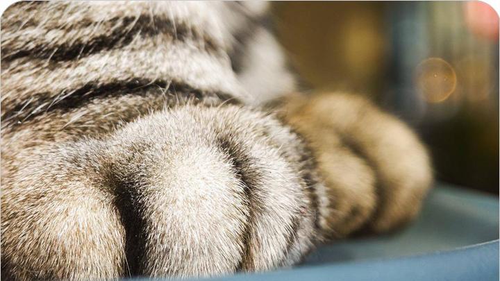 小米科技|小米13 Pro 首搭源自单反的浮动长焦技术，实现无穷远的对焦距离