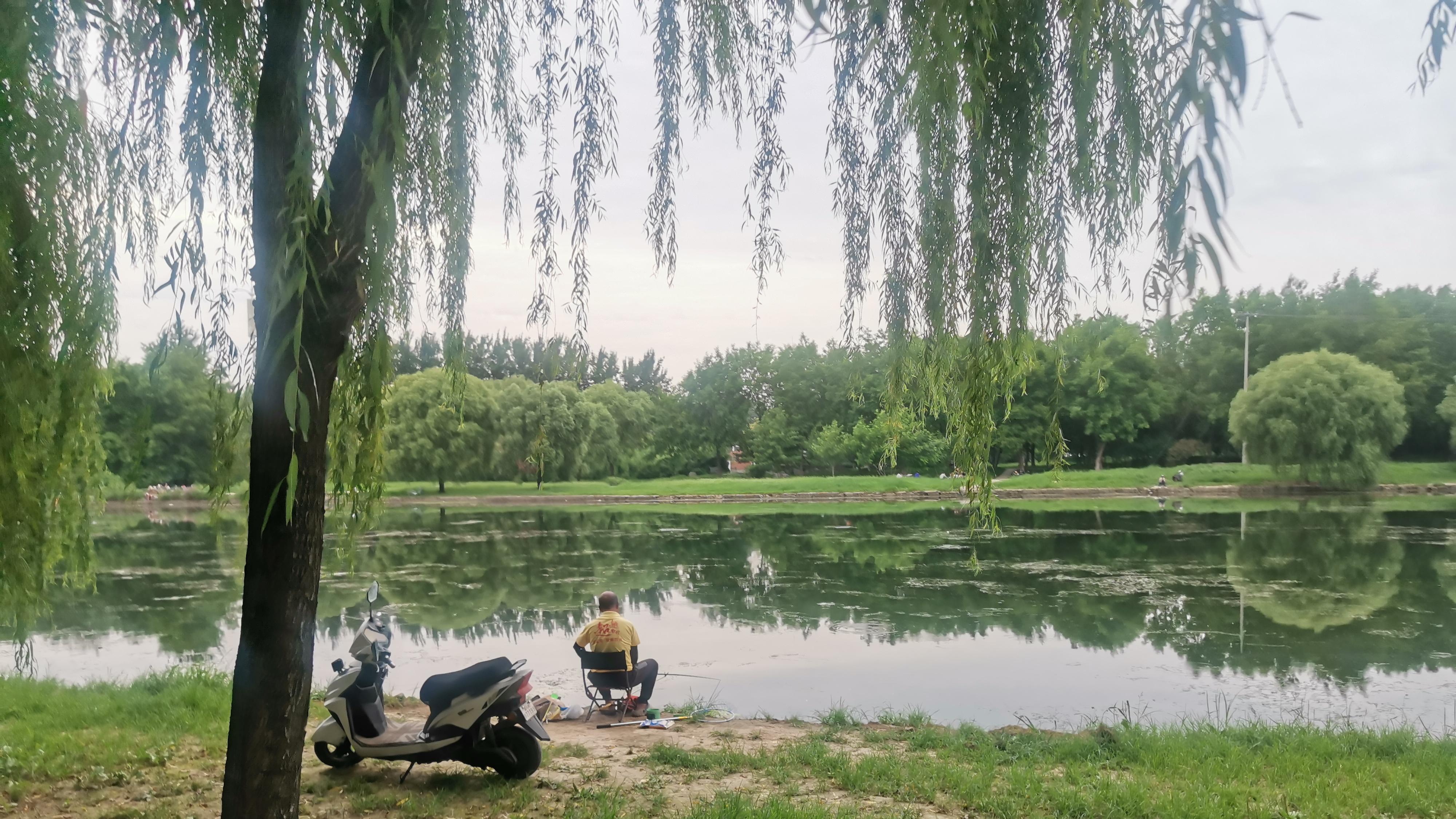 猫之城|钓鱼人的快乐你们懂吗