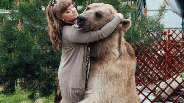 为什么俄罗斯的狗熊看起来不那么凶，甚至和人类玩得很好？