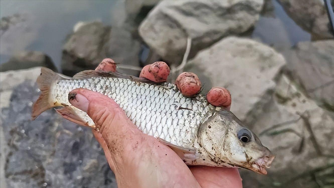 大板|大雪过后的冬钓，我们需要面对哪些痛点？