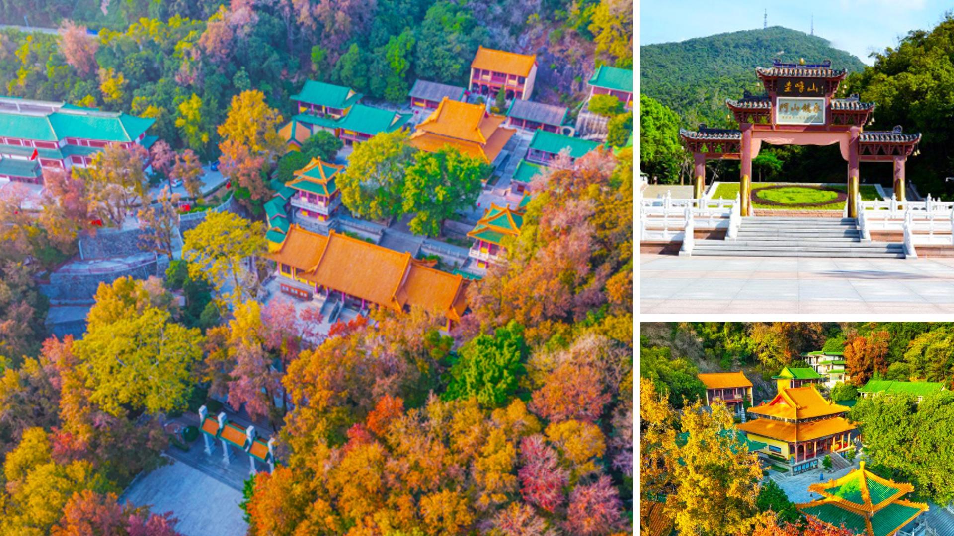 江门|江门旅游 江门9大人气榜景点推荐 附攻略