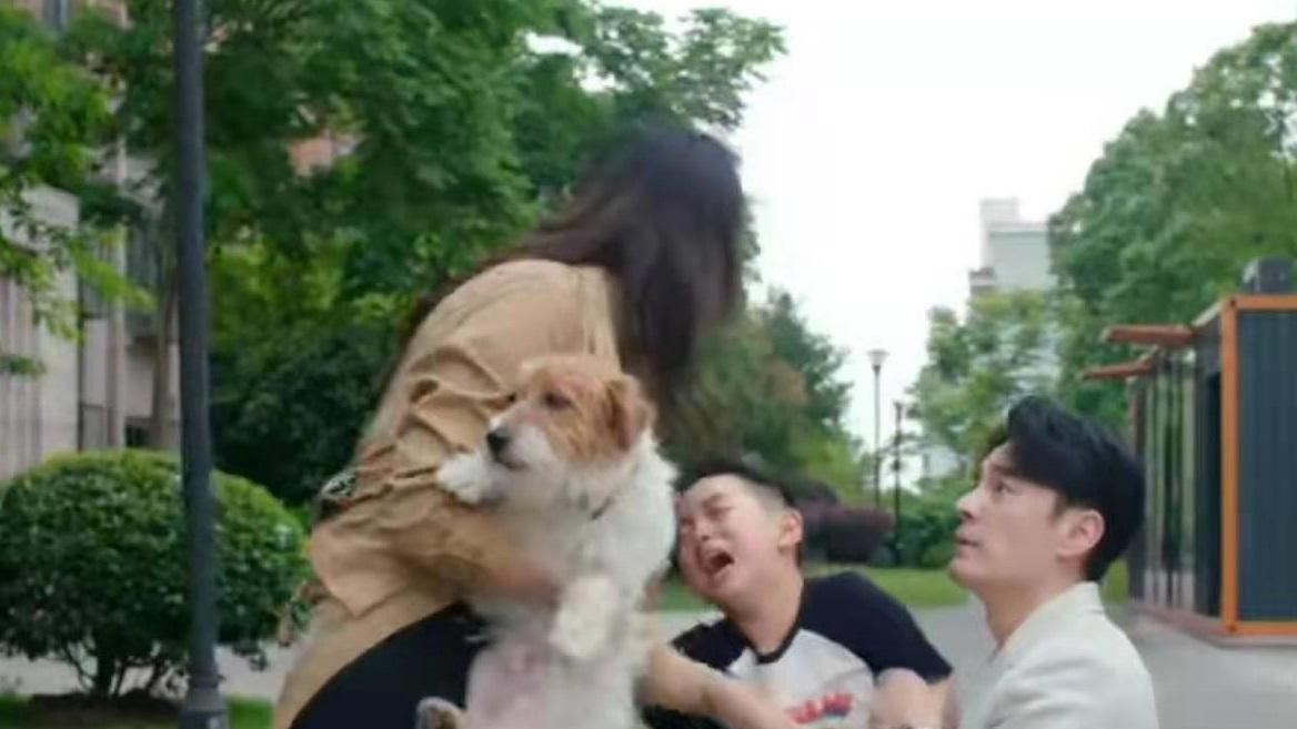 |“妈妈大坏蛋”，不让儿子养狗，孩子怨恨，《陪你一起长大》思考